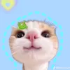 kocojdauu5