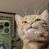 faizalchy00