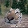 mrquang32