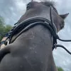 equeerlla1