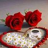 user781973950