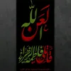 ali.ya.ali59