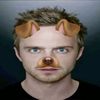 nuzzlesyourbulgywulgyuwu