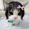 maycha_zx