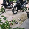 riansyputra538
