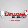 radio.caylloma.am