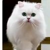 its.prince982