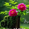 user097831984