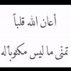 user80842169187053