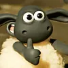 cuu_anco