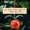 user44232479271152