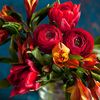 floraflora..2