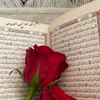 rahani466