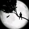 user7818763305670