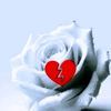 user6192765804547