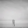 roseisred99
