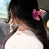carolgraterol7