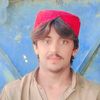 bashir3887
