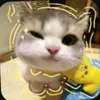 g4yle_0901