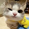 noviaa_2406