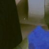 larxx813