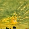 zmm_123ler