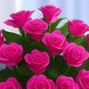 mohamed.jamil575