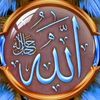 user31292843955980