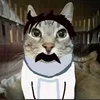 gatoconbigotein