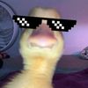 user_hatersser