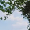 mungnguyen89hy