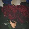 nour08831