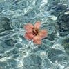 fatima_alsunki