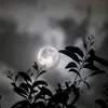 thich1nguoilasai