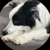 montayes.zediker