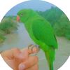 jatoi9499