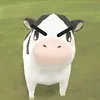 npdieppz_