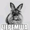 user3199626109917