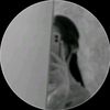 alon_rose_2115