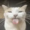 truly_disasterous