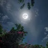 _e2l5