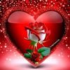 user8259810591906