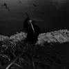 _alaraji9