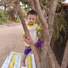 htoohtoo8651