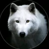 user094124912