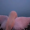 xyu_499
