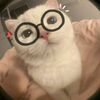 asyifa.nur98