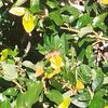 unknown_181541