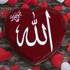 user630461061447