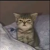 phng.khnh.an.cute